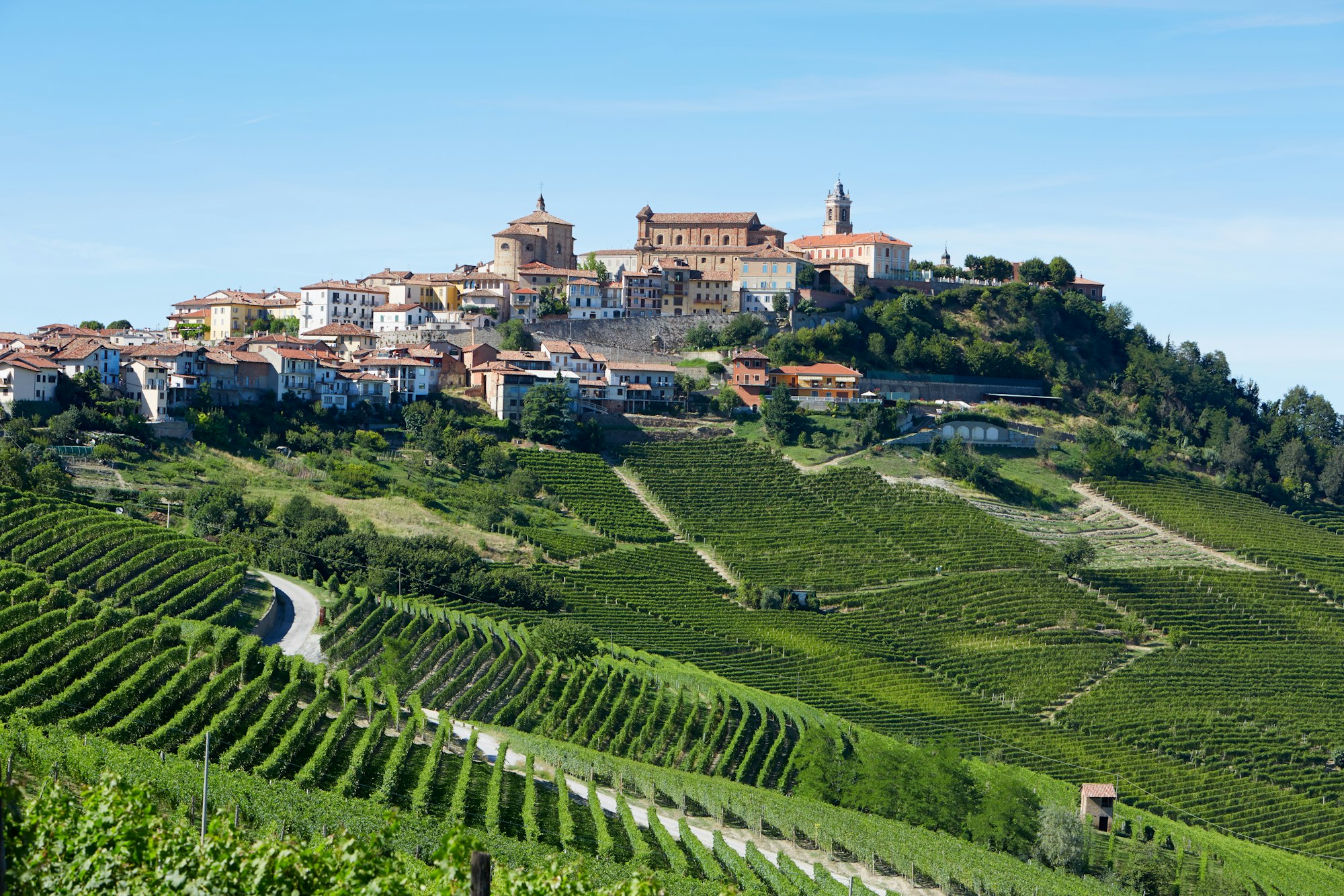 La Morra town on hills in Italy in a sunny day